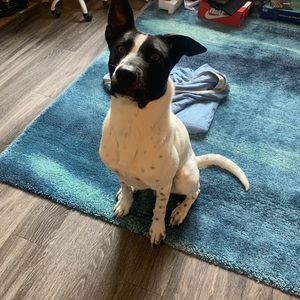 Meet your Posher, Jorge